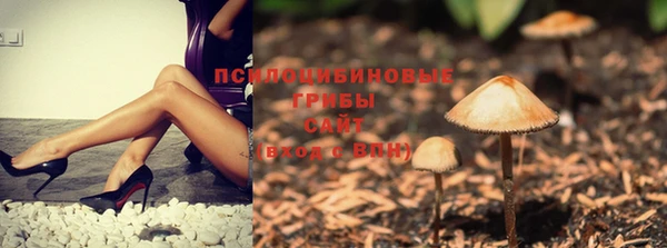 прущий лед Волоколамск