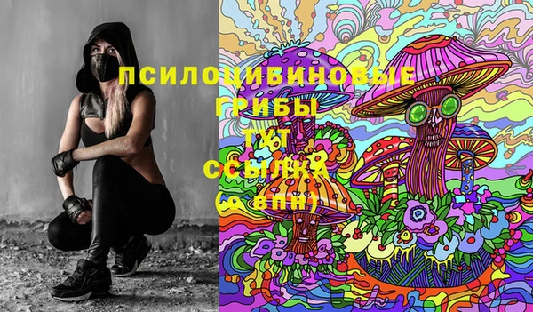 ECSTASY Володарск