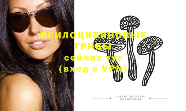 ECSTASY Володарск