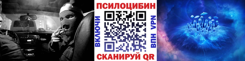 Галлюциногенные грибы MAGIC MUSHROOMS  OMG   Лыткарино  купить наркотик 