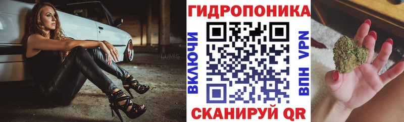 Бошки марихуана сатива  Лыткарино 